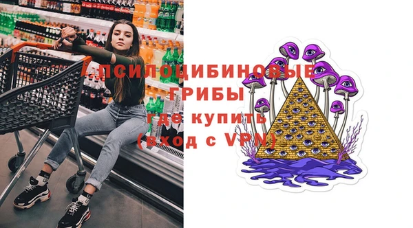 прущие крисы Балахна