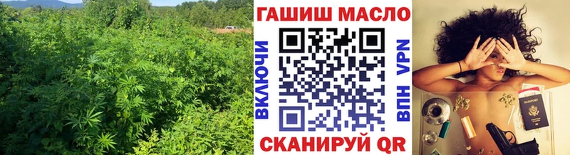 дарнет шоп  Каспийск  Дистиллят ТГК концентрат 