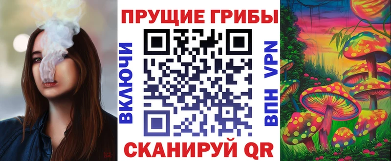 mega как войти  Каспийск  Галлюциногенные грибы GOLDEN TEACHER 
